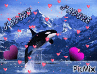 j'adore les orque - GIF animé gratuit