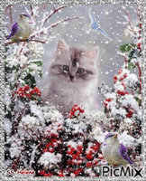Looking through the snow. 动画 GIF