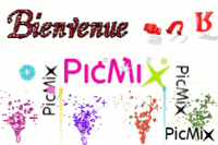 Bienvenue sur Picmix !!! animowany gif