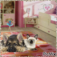 Le chat et le chien - Darmowy animowany GIF