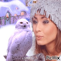 Beautiful winter owl - png gratis