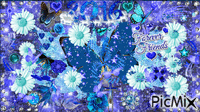 SHINE BLUE BUTTERFLYS - Бесплатный анимированный гифка