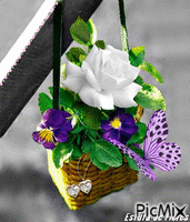 Arranjo Floral✿ Animated GIF