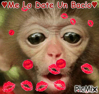 bacio bacio Animated GIF