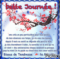 Fleur de Cerisier - Безплатен анимиран GIF
