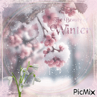 The Beauty of Winter - Free animated GIF