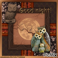 ({(Good Night Owls in Brown Tones)})