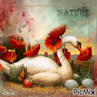 Nature - GIF animé gratuit