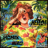 HELLO ! PICMIX