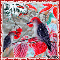 Pájaros en invierno - Δωρεάν κινούμενο GIF