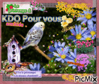 Fleurs , Oiseaux § Le printemps - Kdo . Amitiés animovaný GIF