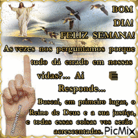 COMPARTILHE - Free animated GIF