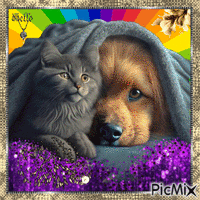 chien et chat Animated GIF