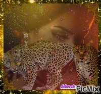 My sweet leopards...For Desenez. анимированный гифка