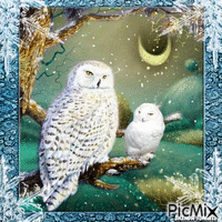 winter owl GIF animado