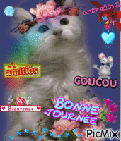 Un chat - Fleurs - Humour. Amitiés - Bonne journée. анимирани ГИФ