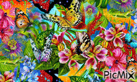 papillons en folie - GIF animé gratuit