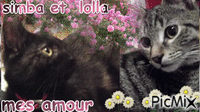 mes amour - Zdarma animovaný GIF