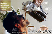 drink a gallon of coffee animovaný GIF