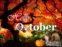 october Animiertes GIF