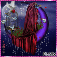 Luna Enamorada! - Zdarma animovaný GIF