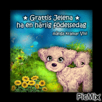 Grattis Jelena 2023 - Бесплатный анимированный гифка