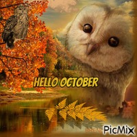 October Owl animovaný GIF