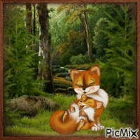 Fox Love - GIF animé gratuit