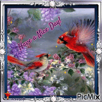 Greeting Card Image - Have a Nice Day