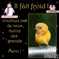 Il fait froid !!! Animated GIF