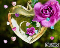 coração e rosas. - Bezmaksas animēts GIF