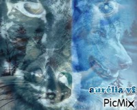 loup puma panthere - Free animated GIF