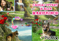 Marieginod - GIF animate gratis