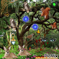 Bosque de fantasía animovaný GIF