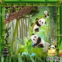 Panda animirani GIF