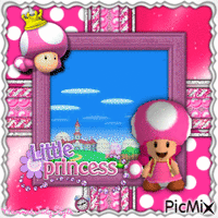 {Toadette the Little Princess}