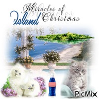 Miracles Of The Island Christmas