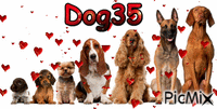 Dog35 - Animovaný GIF zadarmo