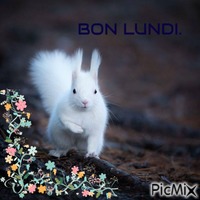 BON LUNDI - Бесплатный анимированный гифка
