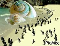 PicMix - 無料のアニメーション GIF