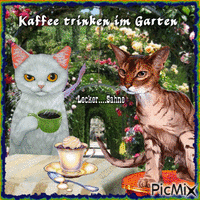 Kaffee trinken im Garten