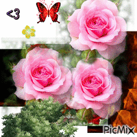 Les roses - GIF animado grátis