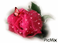 роза - Ücretsiz animasyonlu GIF