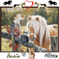 poney avec des chats - Free animated GIF