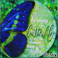 Butterfly Beauty - GIF animado grátis