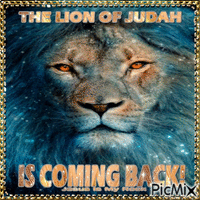 Lion of Judah - Zdarma animovaný GIF