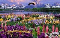 Champs de fleurs - Darmowy animowany GIF