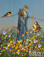 OLD FENCE, A SQUIRREL, BIRDS, BUTTERFLIES BLOWING FLOWERS. ALL COLORS. animowany gif