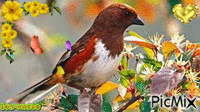 L'oiseau - Zdarma animovaný GIF