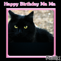 Birthday greetings from Lucky - Free animated GIF